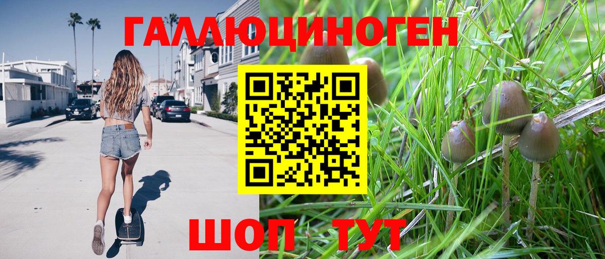 Гудермес  NBOMe  ЭКСТАЗИ  Вход с VPN  Канабис  Мефедрон кристаллы 